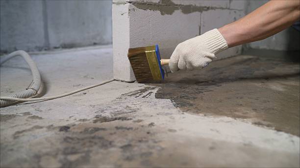 Top rated local Foundation Crack Repair specialists in Conklin, MI